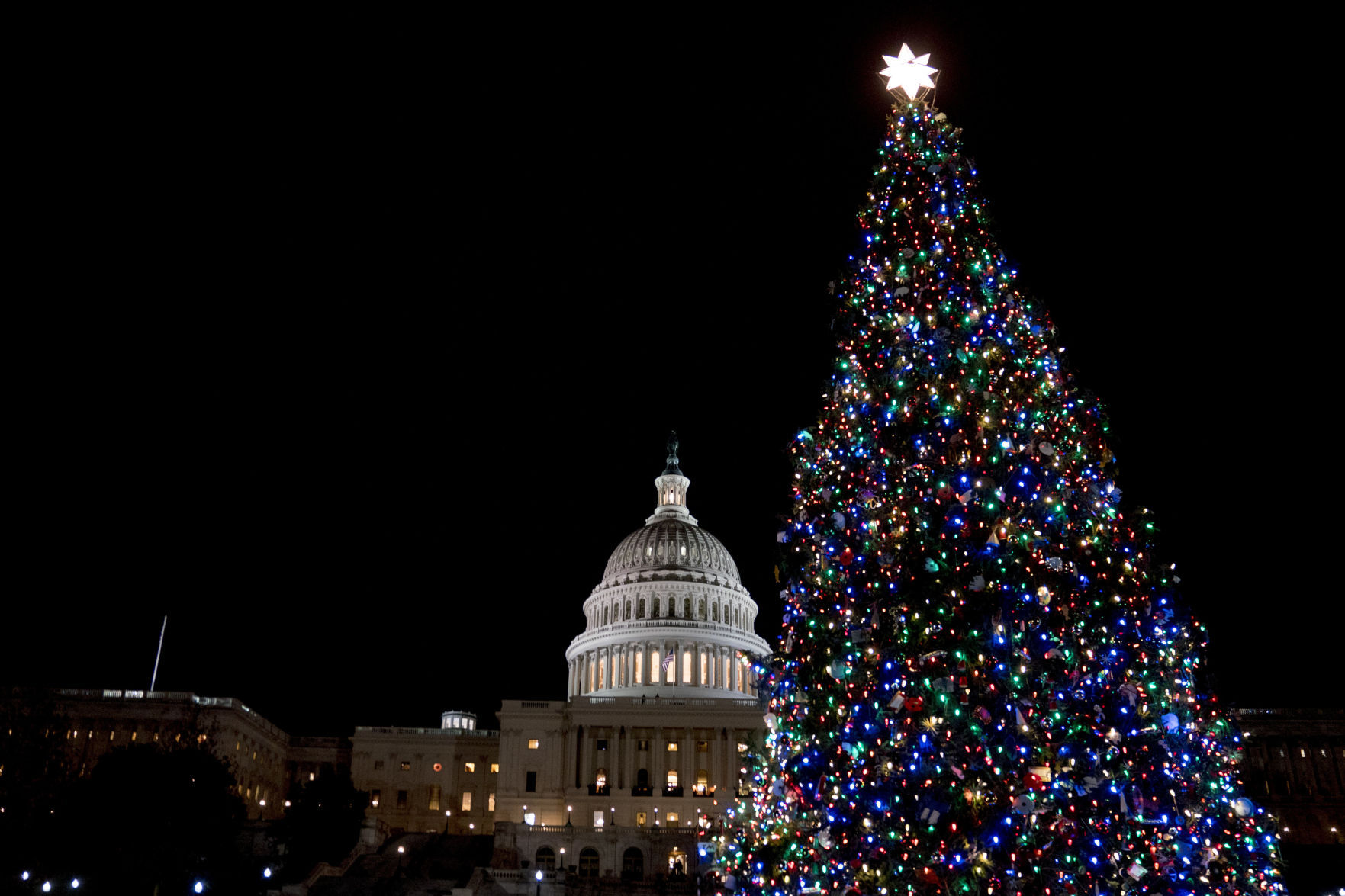 Capitol Christmas Tree Lighting